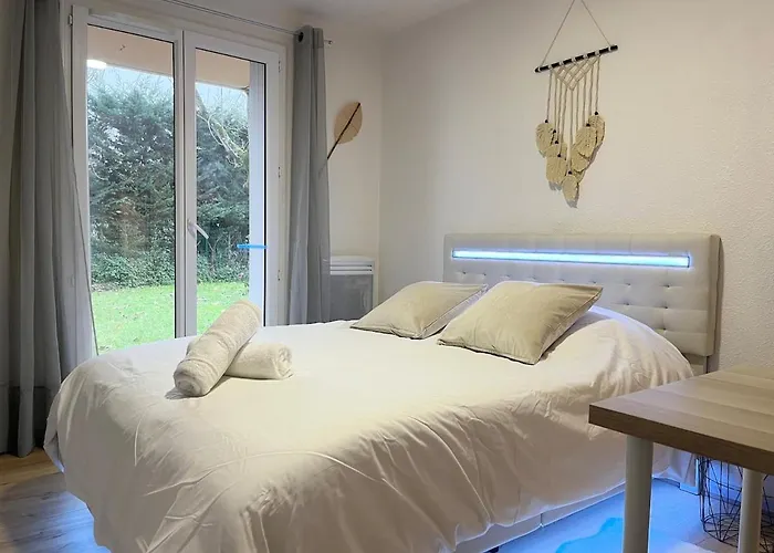 Le Nid Du Busca Proche Metro 툴루즈